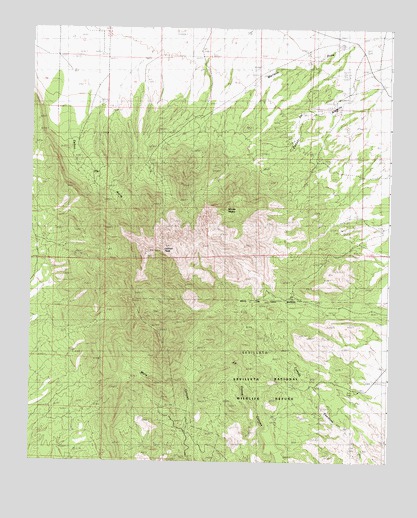 Ladron Peak, NM USGS Topographic Map
