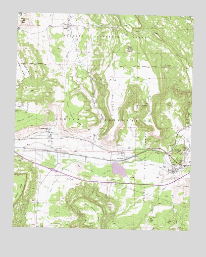 Laguna, NM USGS Topographic Map