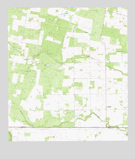 Laguna Del Toro, TX USGS Topographic Map