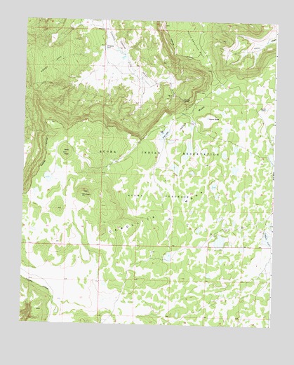 Laguna Honda, NM USGS Topographic Map
