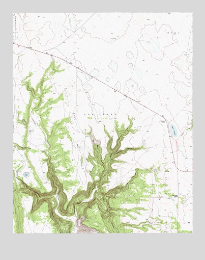 Laguna Huerfana, NM USGS Topographic Map