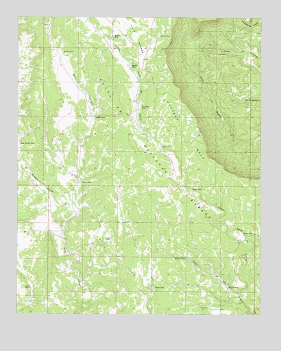 Laguna Ortiz, NM USGS Topographic Map