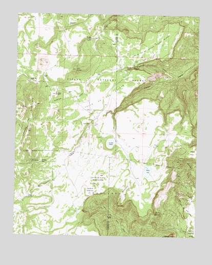 Laguna Seca, NM USGS Topographic Map