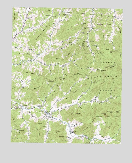 Barnardsville, NC USGS Topographic Map