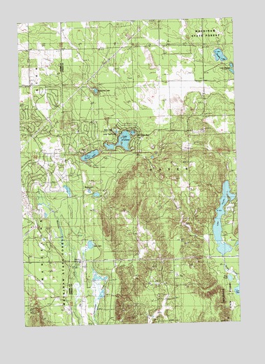 Lake Arrowhead, MI USGS Topographic Map