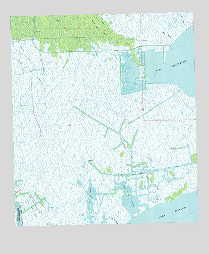 Lake Cataouatche West, LA USGS Topographic Map