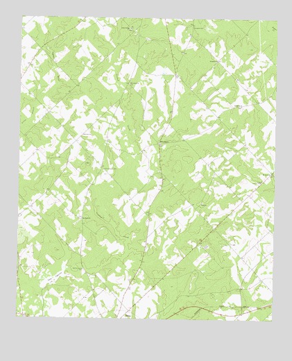 Lake Cypress, GA USGS Topographic Map