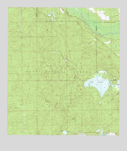 Lake Delancy, FL USGS Topographic Map