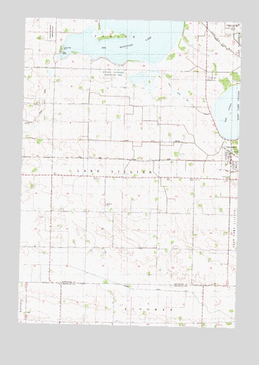 Lake Lillian, MN USGS Topographic Map