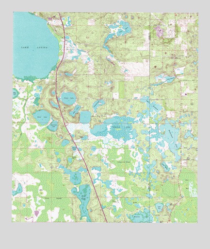 Lake Louisa, FL USGS Topographic Map