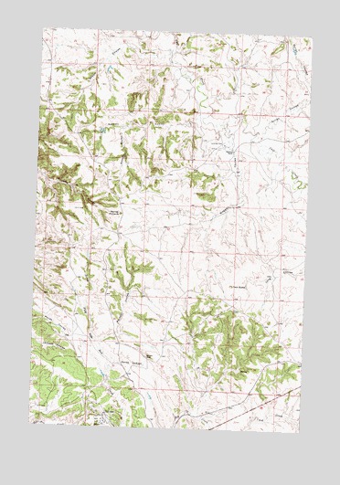 Barney Pinnacle, MT USGS Topographic Map