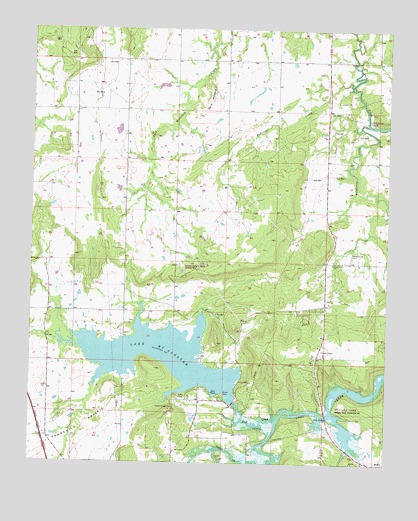 Lake McAlester, OK USGS Topographic Map