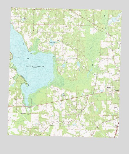 Lake Miccosukee, FL USGS Topographic Map