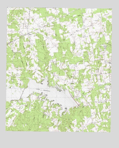 Lake Murvaul, TX USGS Topographic Map