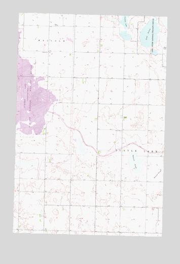 Lake Nettie, ND USGS Topographic Map
