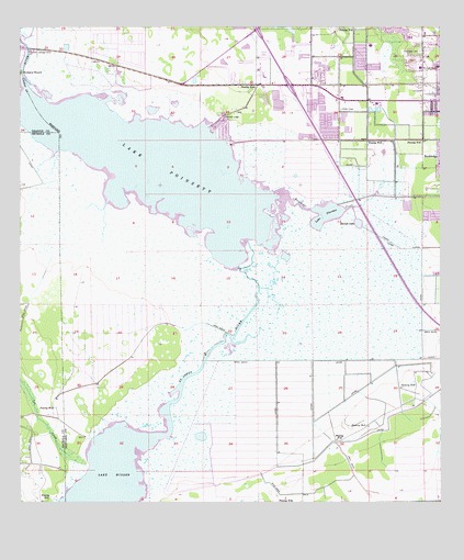 Lake Poinsett, FL USGS Topographic Map