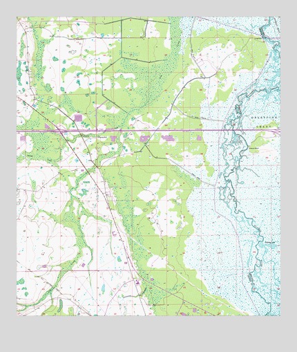 Lake Poinsett NW, FL USGS Topographic Map