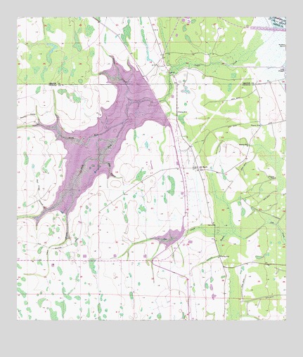 Lake Poinsett SW, FL USGS Topographic Map