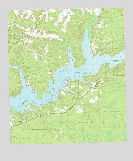 Lake Talquin, FL USGS Topographic Map