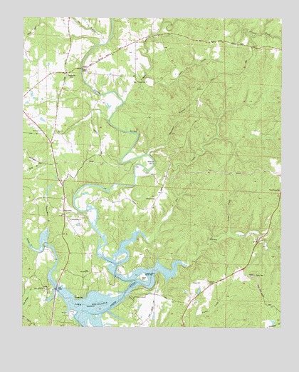 Lake Tuscaloosa North, AL USGS Topographic Map