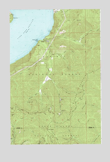 Lakeview, ID USGS Topographic Map