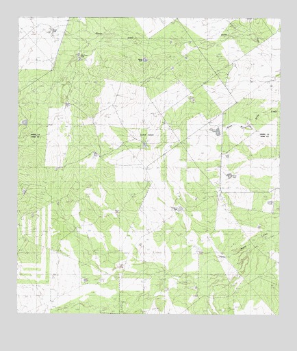 Landrum Tank, TX USGS Topographic Map