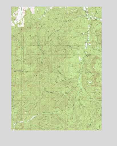 Lane Mountain, OR USGS Topographic Map