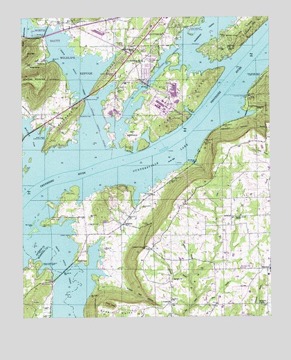 Langston, AL USGS Topographic Map
