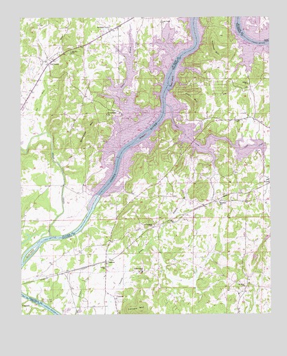 Laniers, AL USGS Topographic Map