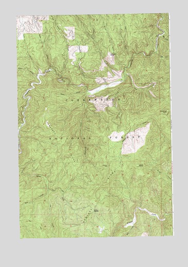 Larch Butte, ID USGS Topographic Map