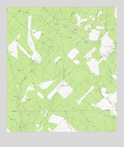Las Flores, TX USGS Topographic Map
