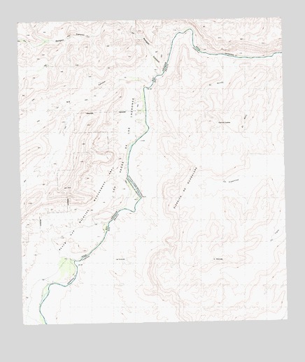 Las Vegas De Los Ladrones, TX USGS Topographic Map