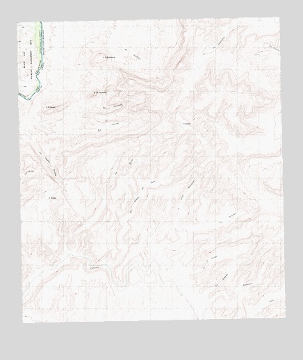 Las Vegas De Los Ladrones SW, TX USGS Topographic Map