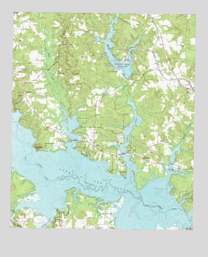 Lassater, TX USGS Topographic Map