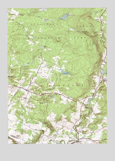 Lassellsville, NY USGS Topographic Map