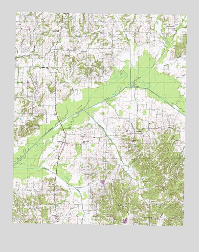 Latham, TN USGS Topographic Map