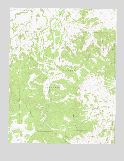 Laughlin Gulch, CO USGS Topographic Map