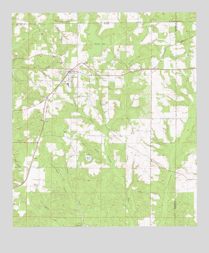 Laurel Hill, FL USGS Topographic Map