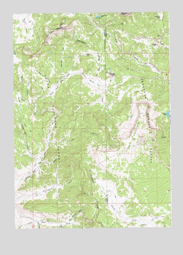Lava Mountain, WY USGS Topographic Map