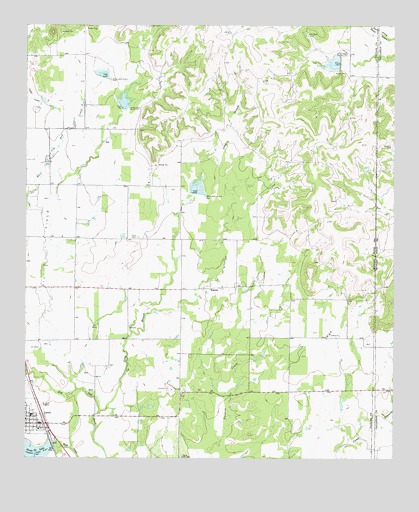 Lawn, TX USGS Topographic Map