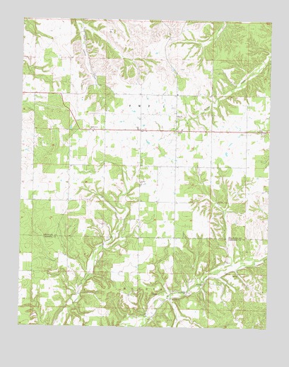 Leach, OK USGS Topographic Map