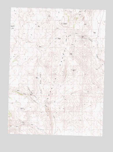 Leadville, NV USGS Topographic Map