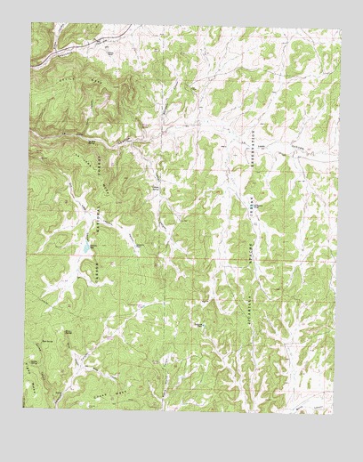 Leandro Canyon, NM USGS Topographic Map