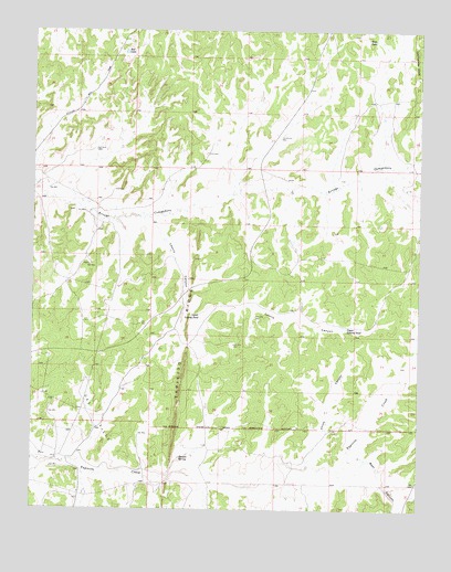 Leavry Canyon, NM USGS Topographic Map
