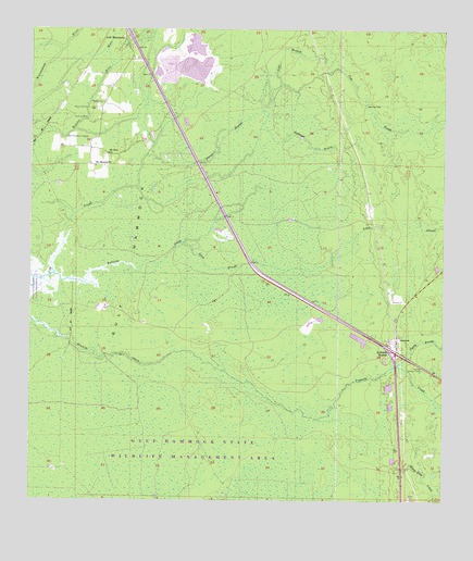 Lebanon Station, FL USGS Topographic Map