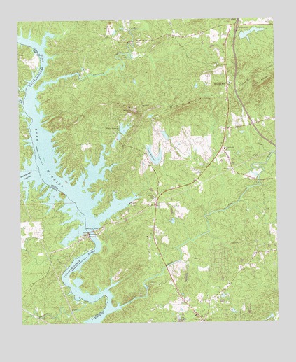 Bartletts Ferry Dam, GA USGS Topographic Map
