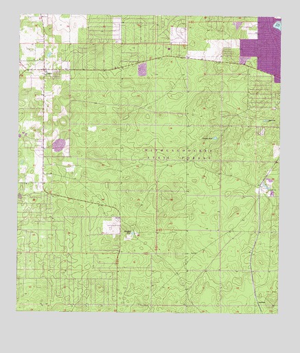 Lecanto, FL USGS Topographic Map