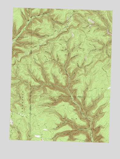 Lee Fire Tower, PA USGS Topographic Map