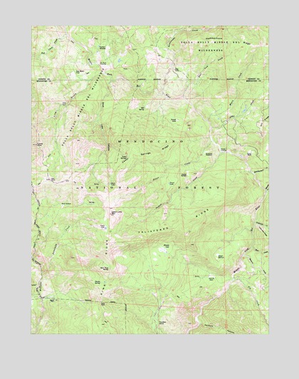 Leech Lake Mountain, CA USGS Topographic Map