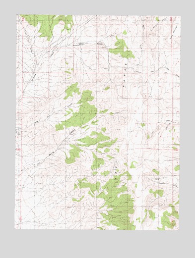 Bartomes Spring, NV USGS Topographic Map